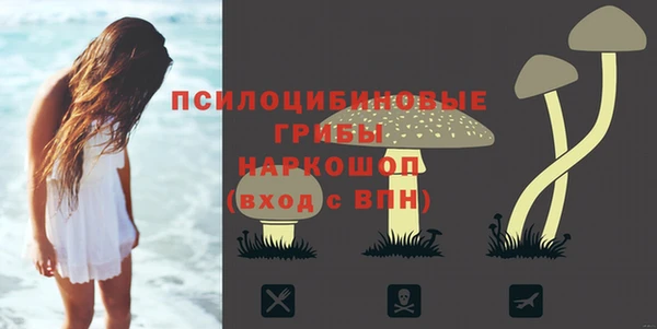 винт Новозыбков