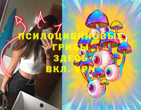 винт Новозыбков