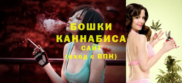 винт Новозыбков
