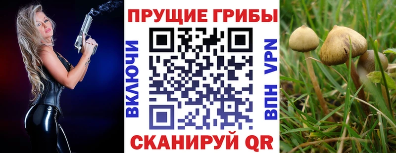 Купить  Солнечногорск  Псилоцибиновые грибы ЛСД 