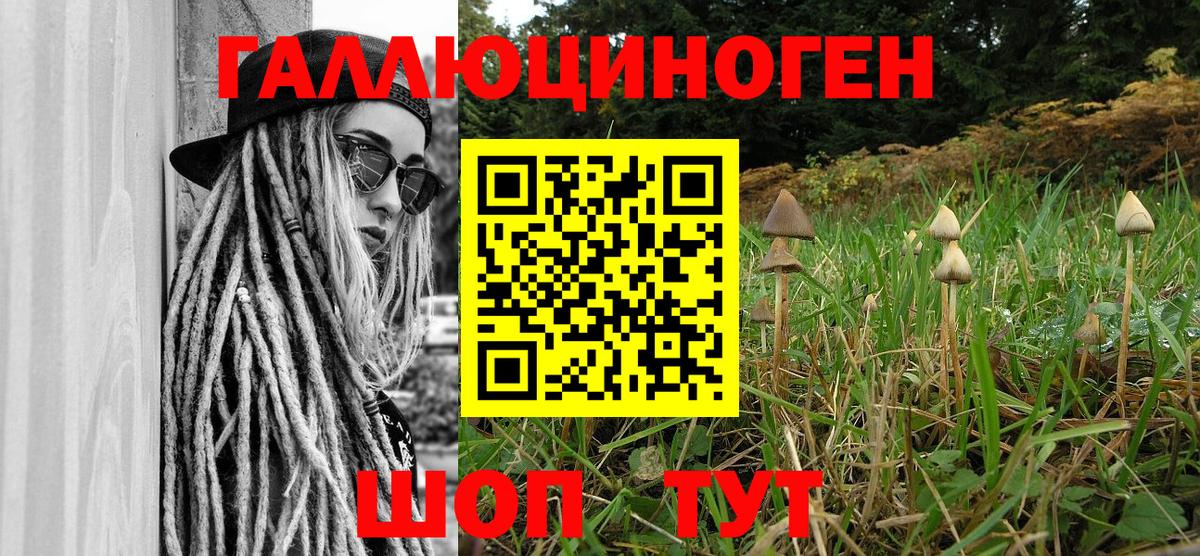 Галлюциногенные грибы MAGIC MUSHROOMS  Вход с VPN  Псилоцибиновые грибы Psilocybe  Солнечногорск 