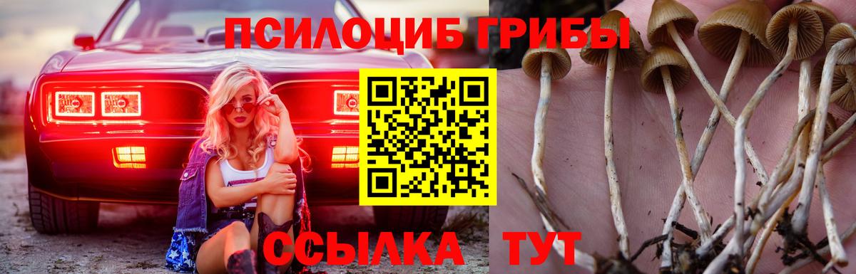 Псилоцибиновые грибы прущие грибы Солнечногорск