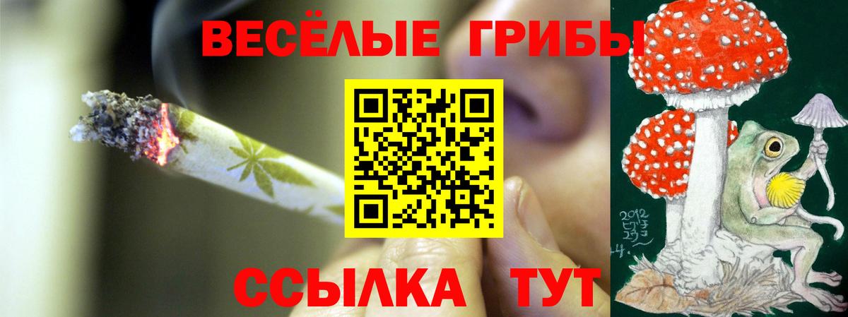 Галлюциногенные грибы GOLDEN TEACHER  Псилоцибиновые грибы мицелий  Солнечногорск 