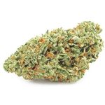 Шишки OG Kush  (Гидропоника, бошки) VHQ в Солнечногорске